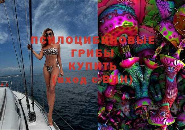 прущий лед Арсеньев
