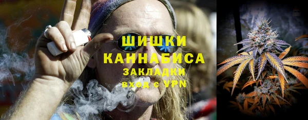 ГАЛЛЮЦИНОГЕННЫЕ ГРИБЫ Медвежьегорск