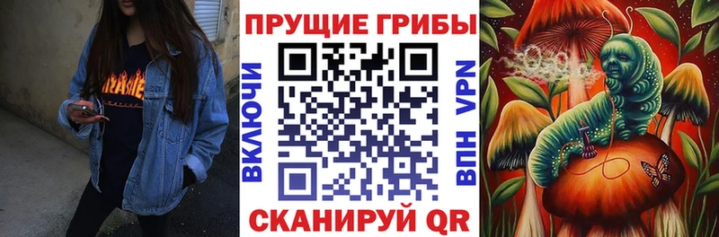 Псилоцибиновые грибы Magic Shrooms  Сланцы 