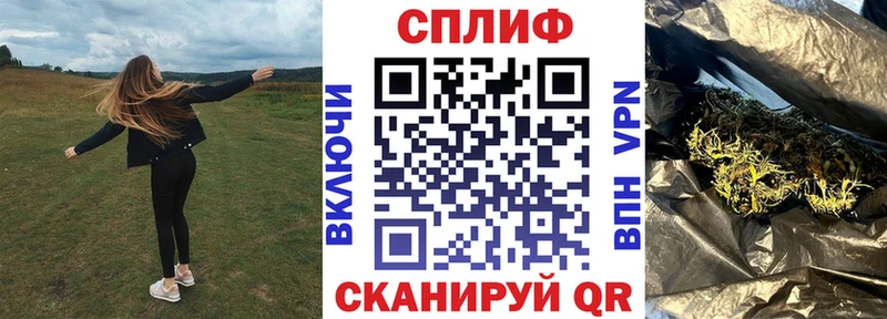 кракен как зайти  Сланцы  Канабис индика 